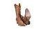 Bota Feminina Stable Brand bico fino fossil marrom costura bege - Imagem 15