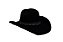 Chapeu Stable personalizado Mavericks - Imagem 2