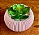 Mini Vaso Decorativo Cachepô suculentas - Plástico - Flores artificiais - Decoração Sala Quarto Rack Escritório - Imagem 7