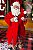 PAPAI NOEL - 028CM - ROUPAO - COLECIONAVEL - Imagem 1