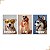Placa Quadro Decorativo Pet Lovers Dog Estimação Em MDF 30x20cm Kit 3 Modelo 1 - Imagem 1