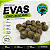 EVAs para Pesca TEMG Alta Flutuabilidade - Cores Mescladas (contraste)20 unid - Imagem 1
