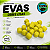 EVAs para Pesca TEMG Alta Flutuabilidade - Cores Lisas 20 unidades - Imagem 1