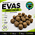 EVAs para Pesca TEMG Alta Flutuabilidade - Cores Ração 20 unidades - Imagem 1