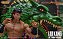 Action Figure Mortal Kombat -  Liu Kang Storm Collectibles - Imagem 2
