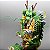 Shenlong 45cm Estátua Dragon Ball - Imagem 2
