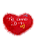 Coração Grande com Pluma - Imagem 5