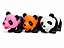 Mordedor Panda Pet Sortido - Imagem 4
