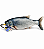 Peixe Elétrico Pet Sortido - Imagem 1