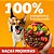 Ração Pedigree Carne e Vegetais Cães Adultos Raças Pequenas e Minis 15Kg - Imagem 4