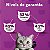 Ração Whiskas para Gatos Adultos Castrados Sabor Carne 10kg - Imagem 6