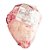 Picanha Bovina Argentina 1,4 a 1,7 kg Resfriada Rioplatense / Forn. Classe D - Caixa 18 kg - Imagem 1