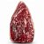 Picanha Bovina Argentina Pilotti Congelada 1,3 à 1,6Kg / Forn. Classe D - Caixa 24 Kg - Imagem 2