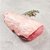 Picanha A Bovina Paraguaia 0,9 a 1,3 kg Resfriada Guarani / Forn. Classe D - Caixa 21 Kg - Imagem 1