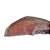 Costela de Cordeiro Congelado Iqf Fricasa - Caixa 17 Kg - Imagem 1