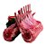 Frenched de Cordeiro Rack Up Congelado Celebra 18oz / Forn. Classe D - Caixa 10 Kg - Imagem 1