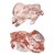 Pernil sem Osso Suíno sem Pele Congelado Frivatti / Forn. Classe D - Caixa 21 Kg - Imagem 1
