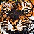 Survivor - Eye Of The Tiger - Imagem 5