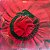 The Alan Parsons Project - Vulture Culture - Imagem 10