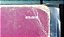 Quincy Jones - The Color Purple (Original Motion Picture Sound Track) - Imagem 8