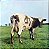 Pink Floyd - Atom Heart Mother - Imagem 1