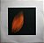 Peter Gabriel - Shaking The Tree: Twelve Golden Greats - Imagem 5