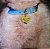 Sabrina Carpenter - Man's Best Friend - Imagem 3