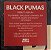 Black Pumas - Black Pumas - Imagem 8