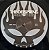 The Offspring - Greatest Hits - Imagem 3