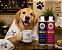 KIT 002 BANHO PREMIUM - ZACK & NINA - SHAMPOO + CONDICIONADOR + CANECA EM CERÂMICA PERSONALIZADA - Imagem 1