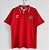 Camisa País de Gales 1992-1994 (Home-Uniforme 1) - Imagem 1