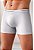 Cueca Boxer Torp Microfibra Sem Costura Platina - Ref8011 - Imagem 4