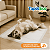 Tapete Higiênico Cachorro 30un 90x60 Absorvente Descartável - Imagem 10