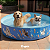 Piscina Para Pets Resistente de Lona Diversos Tamanhos Dobrável Colorida com Desenhos Verão - Imagem 5