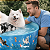 Piscina Para Pets Resistente de Lona Diversos Tamanhos Dobrável Colorida com Desenhos Verão - Imagem 6