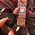 Batom Miss Betty Matte Lip Stick - COR 8 - Imagem 1