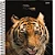 Caderno Espiral capa Dura Universitario NATGEO - Jandaia - Imagem 1