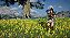 Crimson Desert Enhanced Deluxe Edition - Steam Offline - Imagem 4