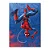 Placa Decorativa Homem Aranha (Grande 30x42cm) - Imagem 1