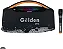 CAIXA DE SOM GOLDEN PRO GP-112 300W C/1 MICROFONE - Imagem 1