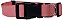 COLEIRA PP ROSA MOR 60020021 - Imagem 1