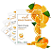 MASCARA FACIAL DE LARANJA YYM-1212-17 - Imagem 1