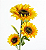 FLOR DE GIRASOL 1910053 - Imagem 1