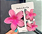 KIT PIRANHA FLOR - Imagem 1