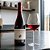 Tinto Pinot Noir Bourgogne AOP Expert Club 750 ml - Imagem 7