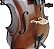 Violoncelo Barth 4/4 OLD (Envelhecido) com Capa Bag + Breu + Arco - CB106 - Imagem 5