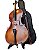 Violoncelo Barth 4/4 OLD (Envelhecido) com Capa Bag + Breu + Arco - CB106 - Imagem 9