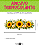 Transfer Termocolante DTF Barrado 27x11cm Floral - Imagem 1