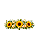 Transfer Termocolante DTF Barrado 27x11cm Floral - Imagem 2