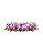Transfer Termocolante DTF Barrado 27x11cm Floral - Imagem 2